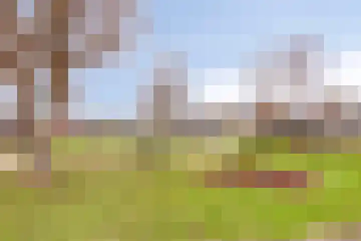 Lange Meten 6 Nieuw-Vossemeer thumbnail 46
