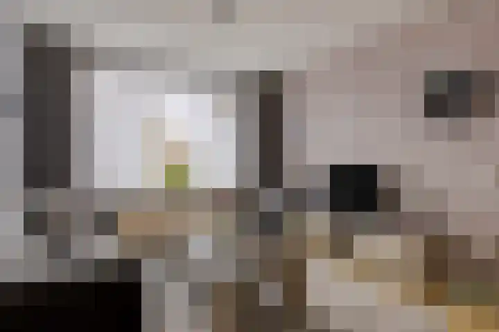 Lange Meten 6 Nieuw-Vossemeer thumbnail 8