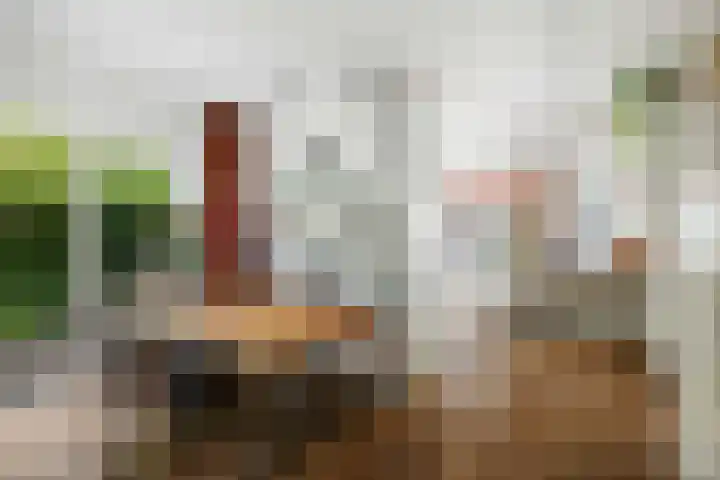 Lange Molenstraat 9 Borculo thumbnail 12