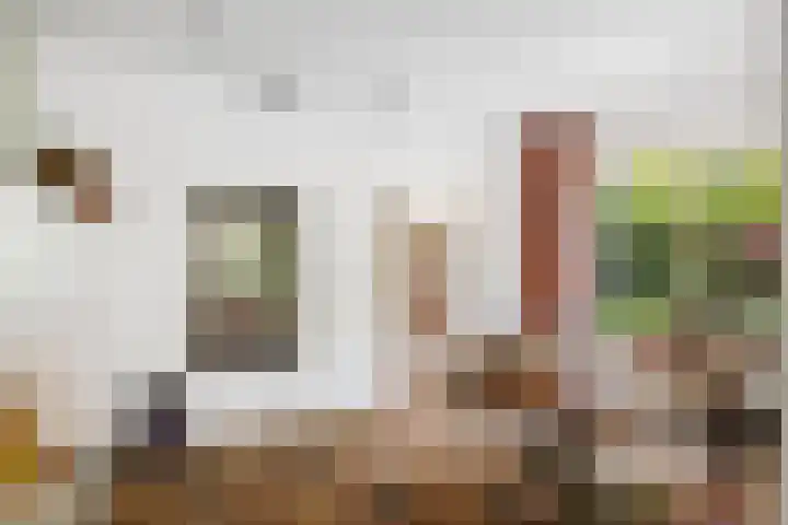 Lange Molenstraat 9 Borculo thumbnail 13