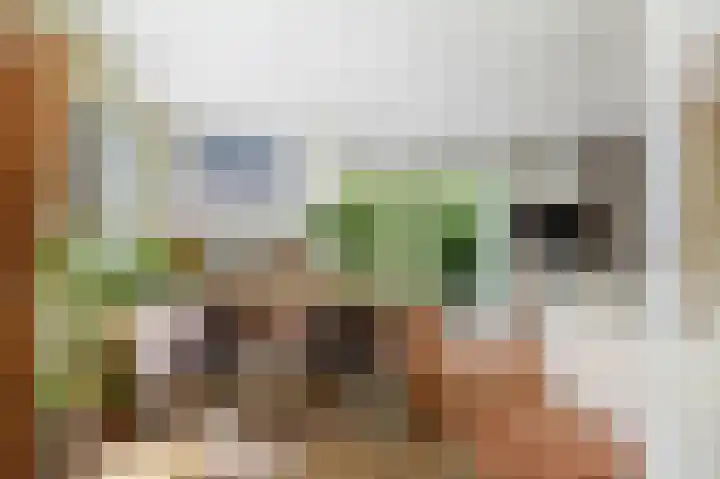 Lange Molenstraat 9 Borculo thumbnail 15