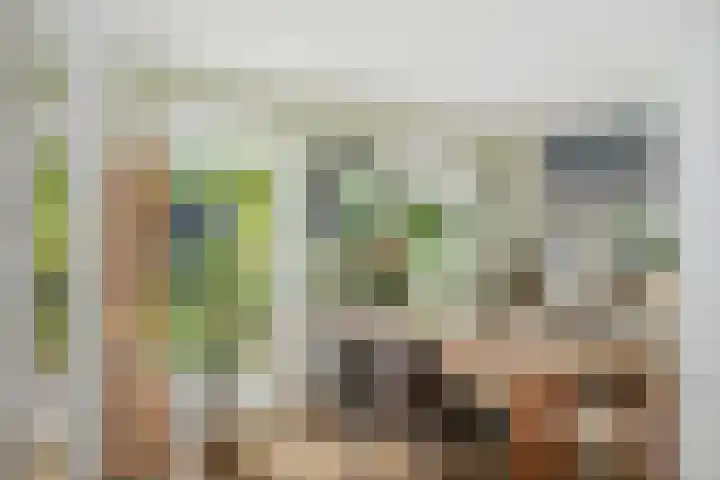 Lange Molenstraat 9 Borculo thumbnail 17