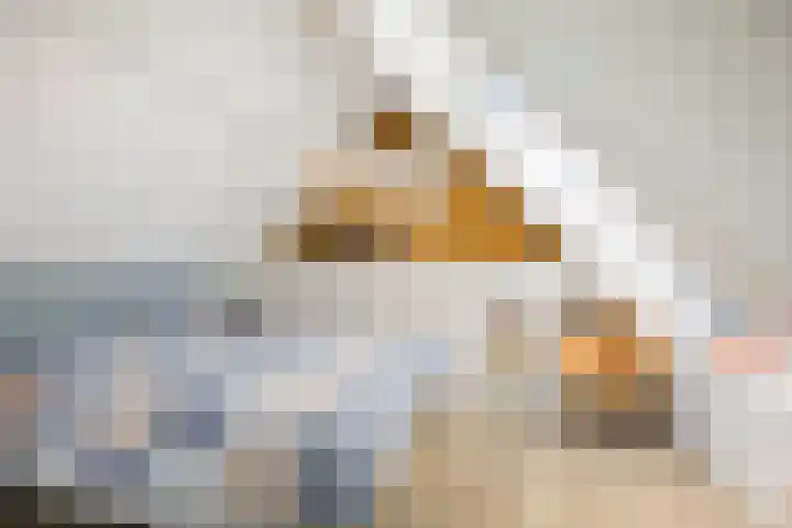 Lange Molenstraat 9 Borculo thumbnail 20