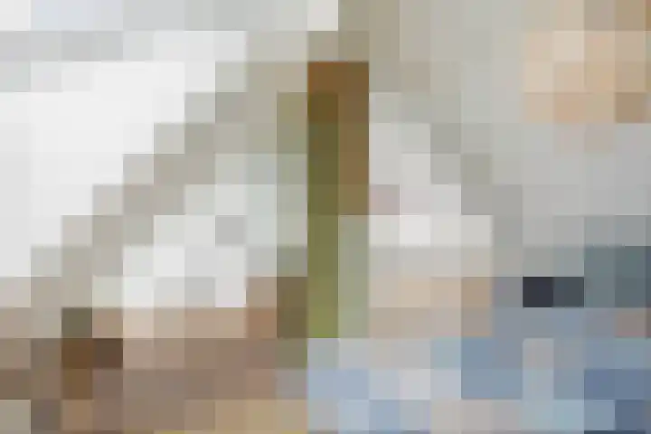 Lange Molenstraat 9 Borculo thumbnail 21