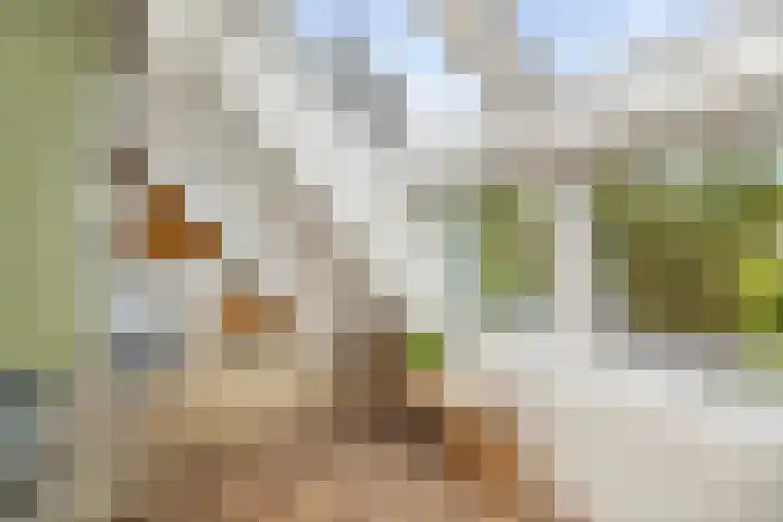 Lange Molenstraat 9 Borculo thumbnail 23