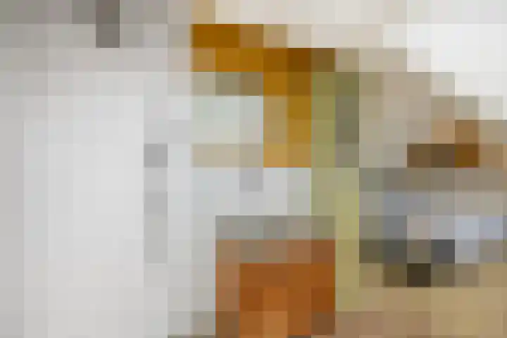 Lange Molenstraat 9 Borculo thumbnail 25