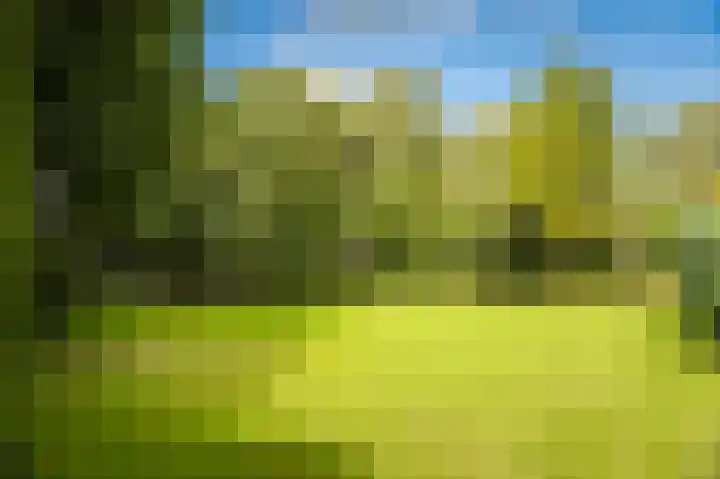 Lange Molenstraat 9 Borculo thumbnail 4