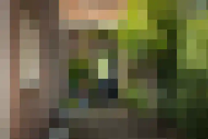Lange Molenstraat 9 Borculo thumbnail 41