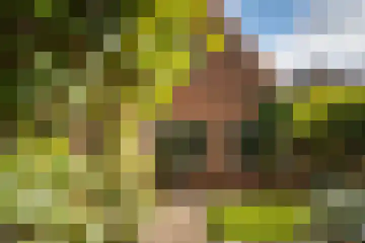Lange Molenstraat 9 Borculo thumbnail 43