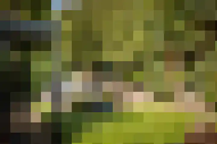 Lange Molenstraat 9 Borculo thumbnail 44