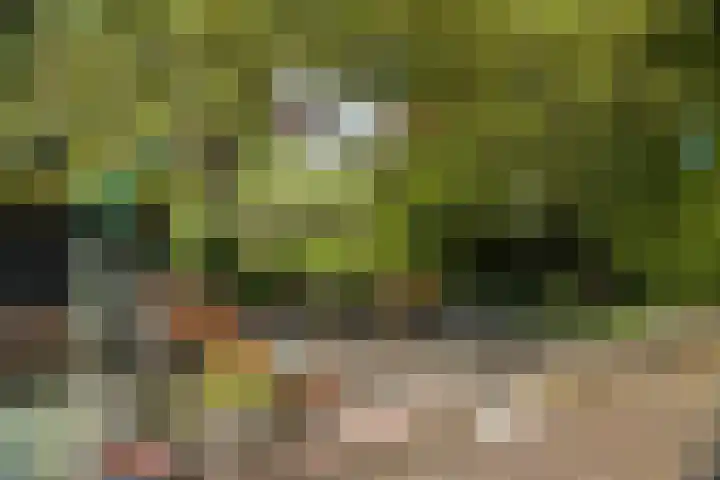 Lange Molenstraat 9 Borculo thumbnail 47