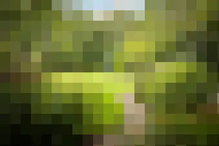Lange Molenstraat 9 Borculo thumbnail 48