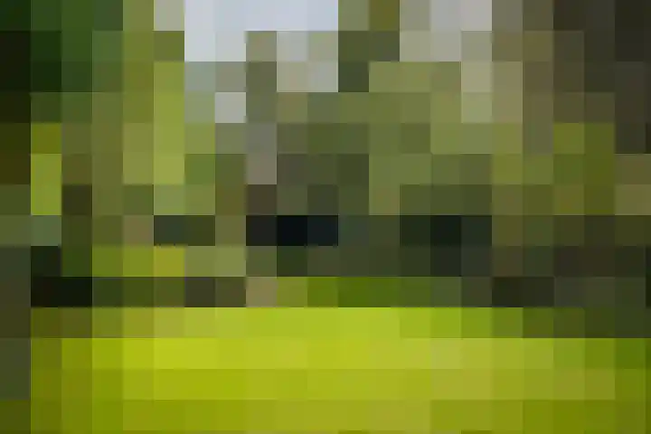 Lange Molenstraat 9 Borculo thumbnail 49