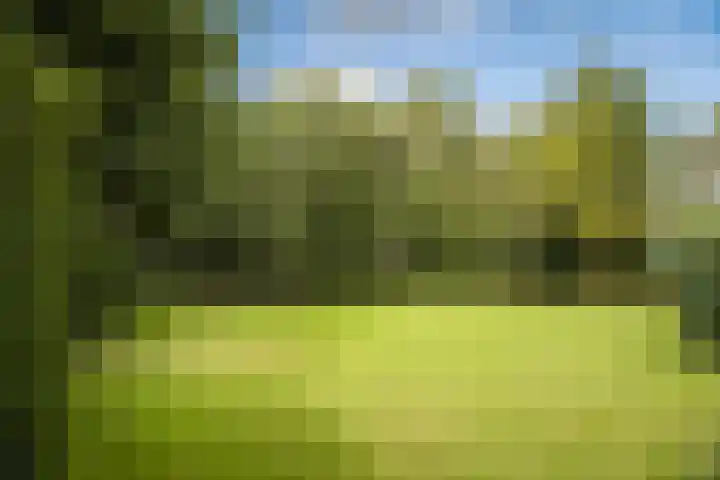 Lange Molenstraat 9 Borculo thumbnail 50
