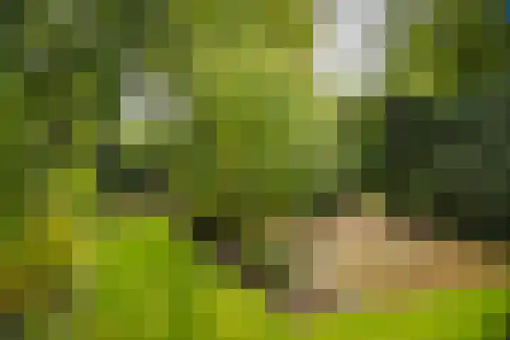 Lange Molenstraat 9 Borculo thumbnail 52