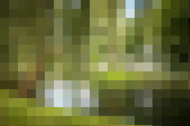Lange Molenstraat 9 Borculo thumbnail 55