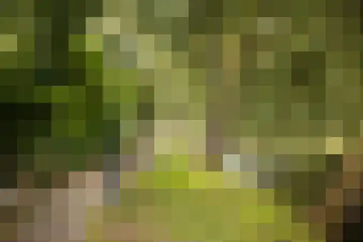 Lange Molenstraat 9 Borculo thumbnail 56