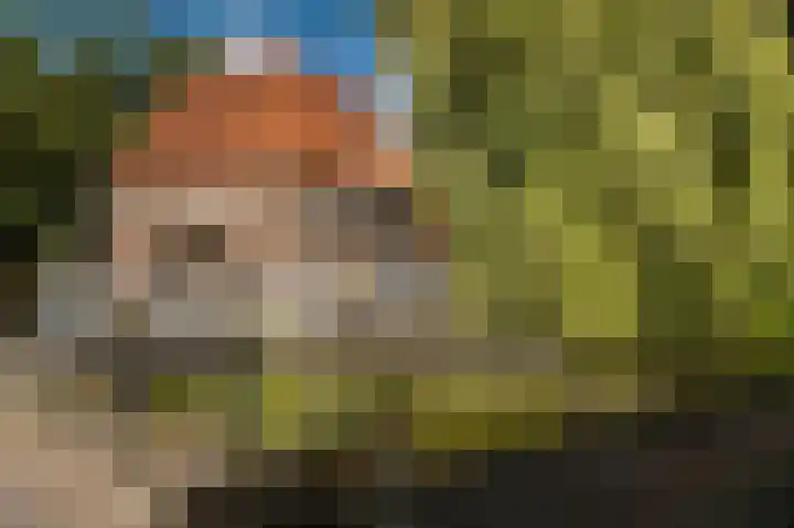 Lange Molenstraat 9 Borculo thumbnail 64