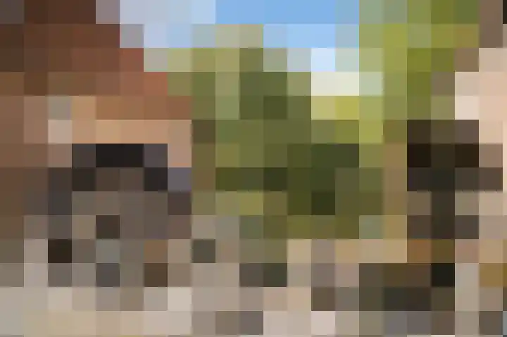 Lange Molenstraat 9 Borculo thumbnail 65