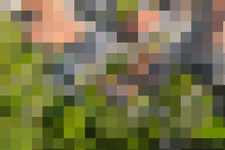 Lange Molenstraat 9 Borculo thumbnail 67