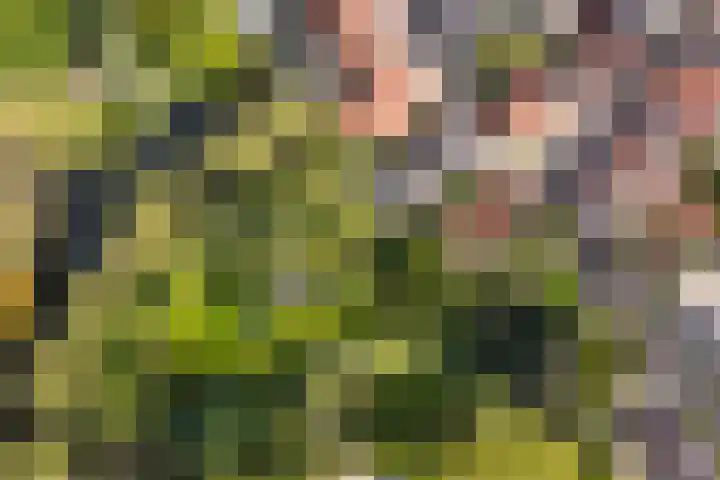 Lange Molenstraat 9 Borculo thumbnail 68
