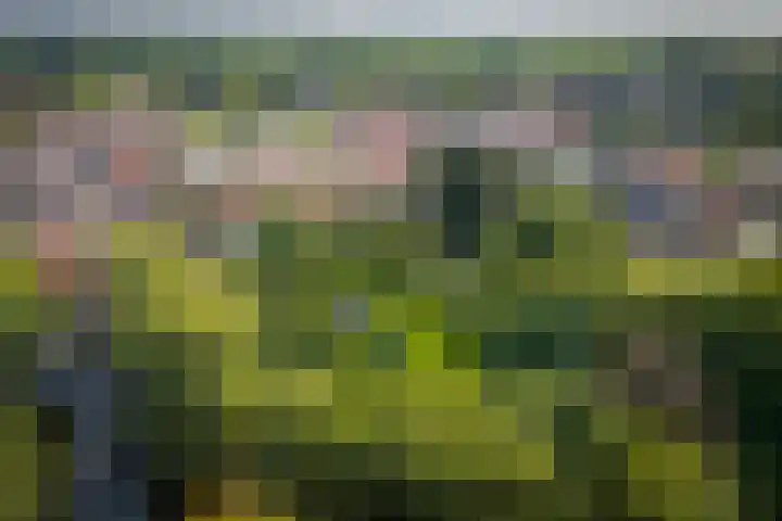 Lange Molenstraat 9 Borculo thumbnail 69