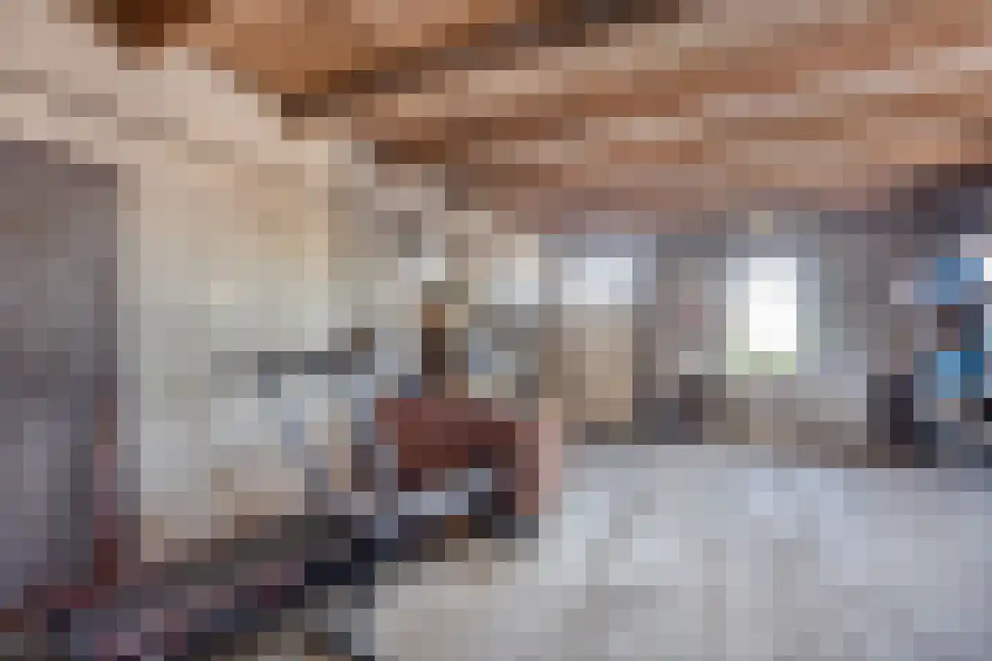 Lange Molenweg 3 Oterleek thumbnail 24