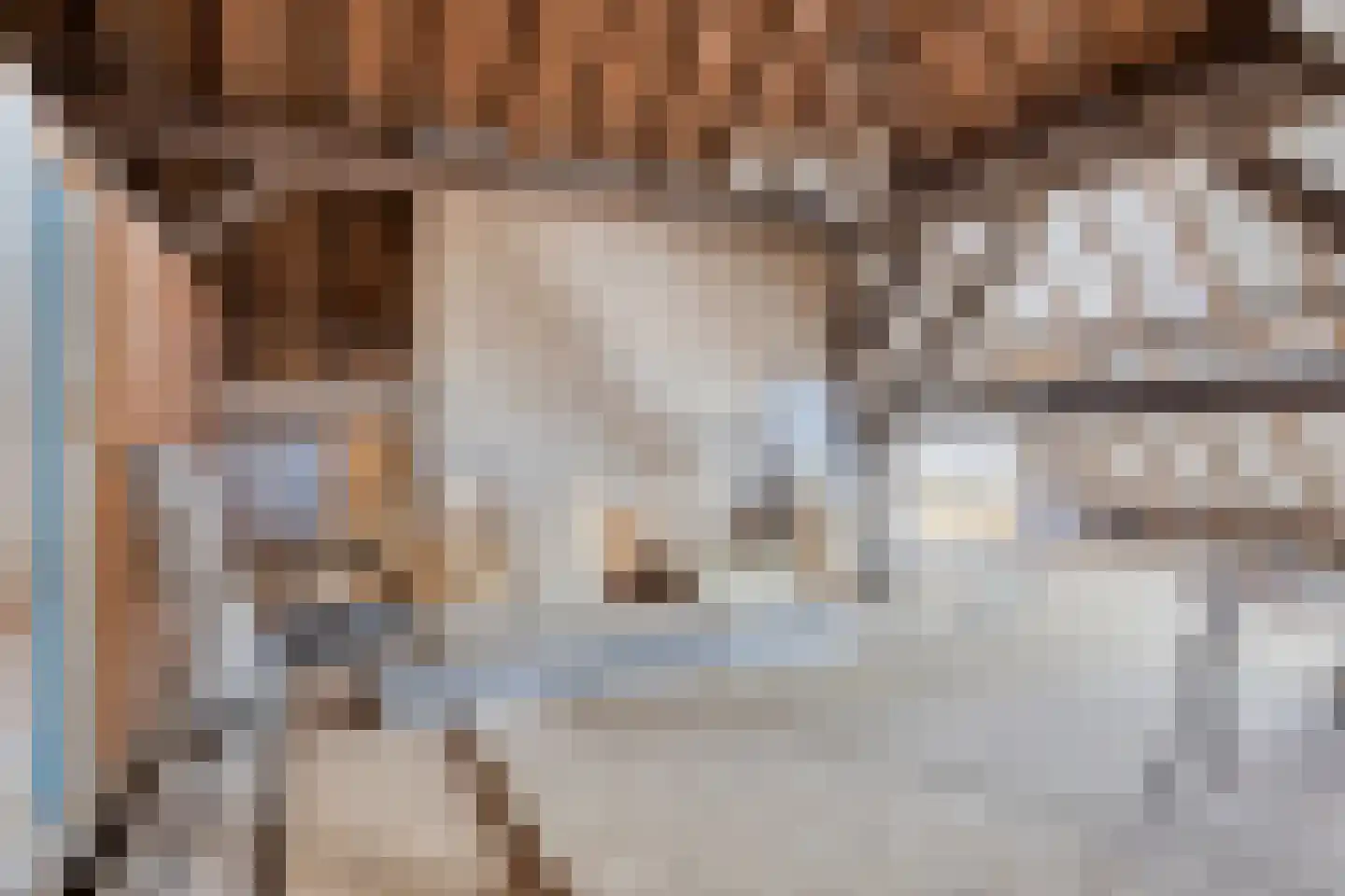 Lange Molenweg 3 Oterleek thumbnail 39