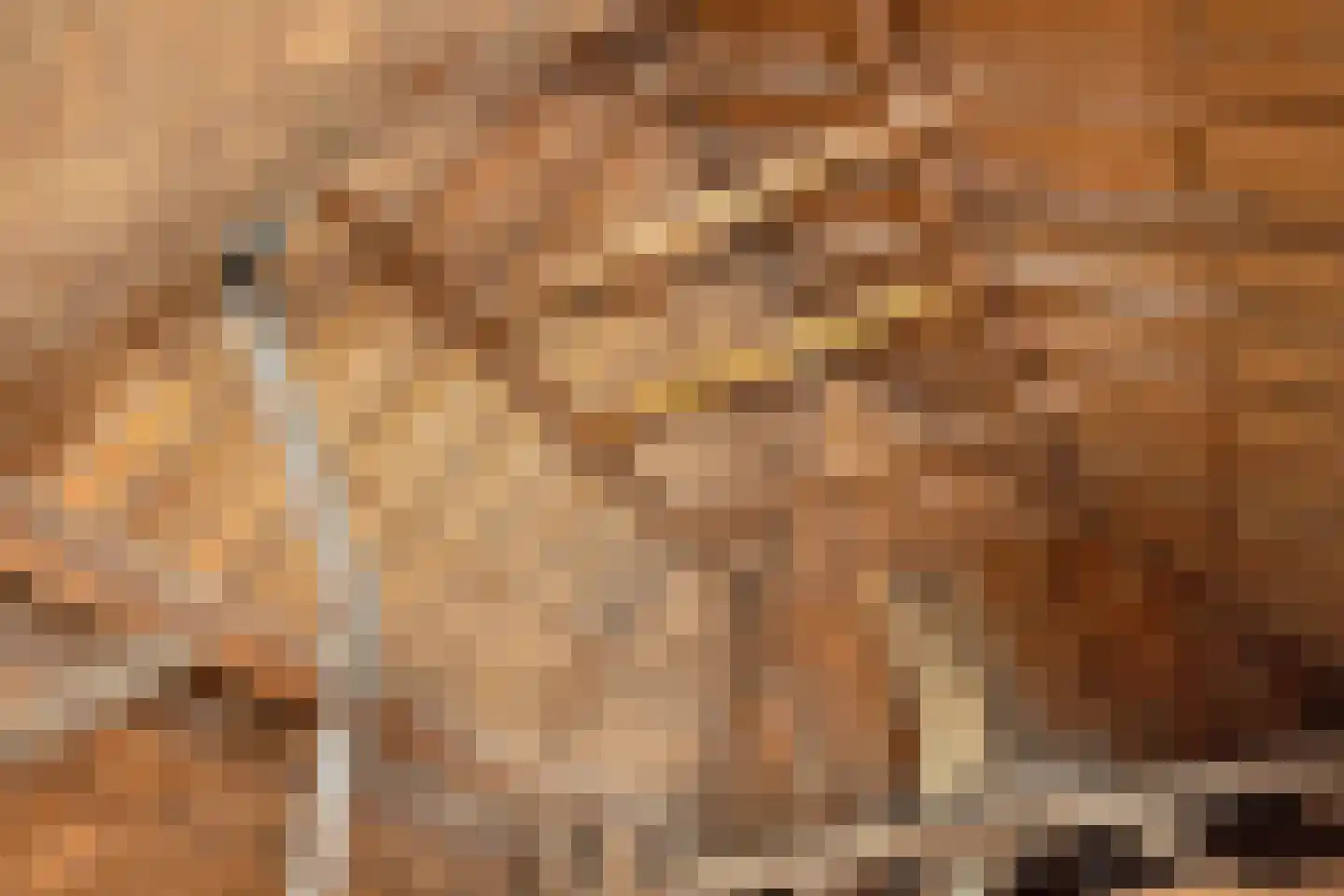 Lange Molenweg 3 Oterleek thumbnail 43
