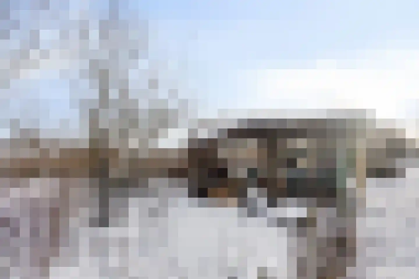 Lange Molenweg 3 Oterleek thumbnail 56