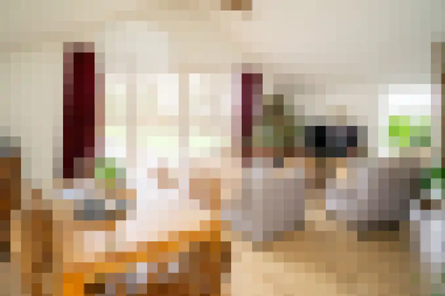 Lange Molenweg 3 Oterleek thumbnail 64