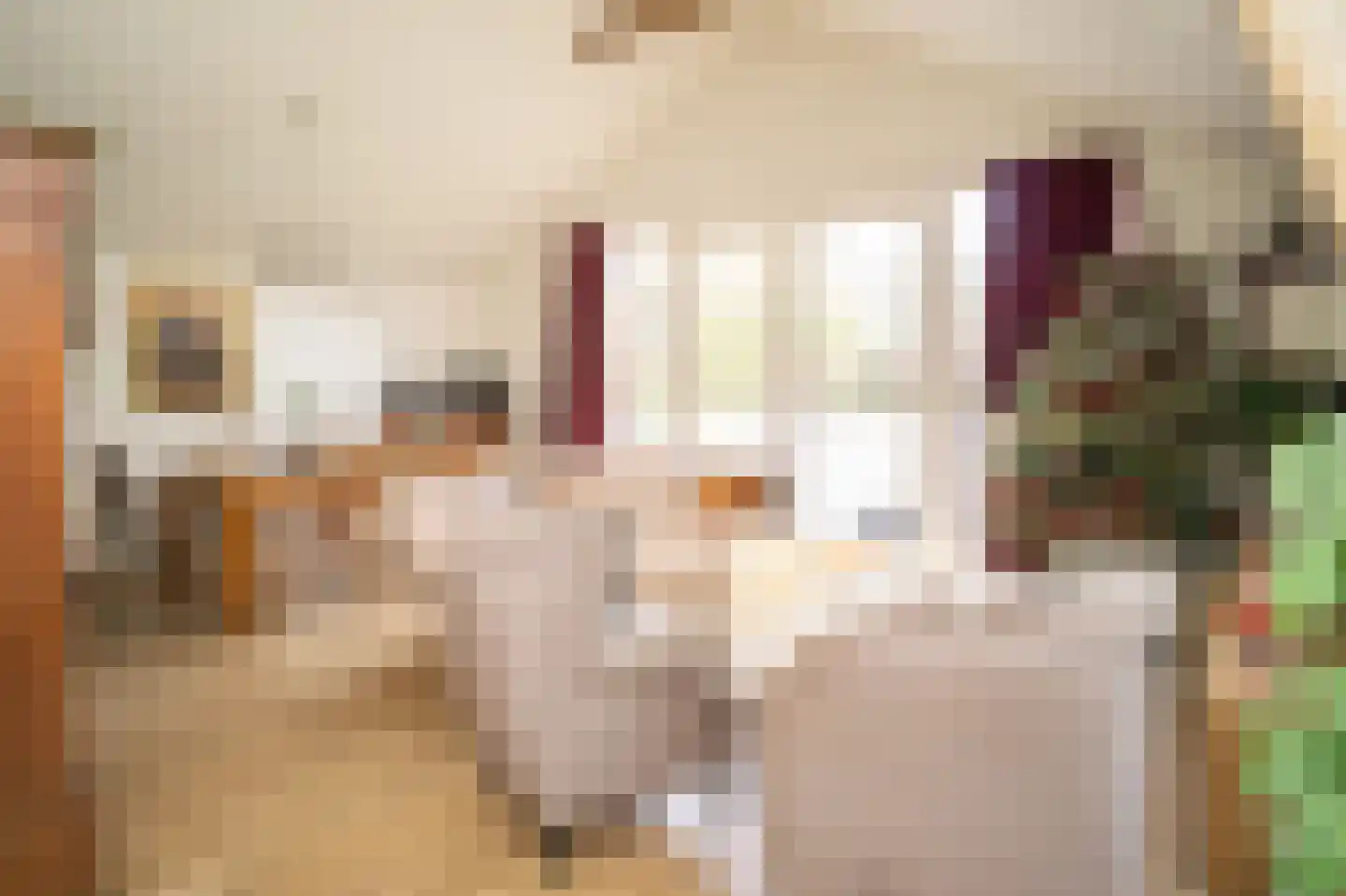 Lange Molenweg 3 Oterleek thumbnail 65