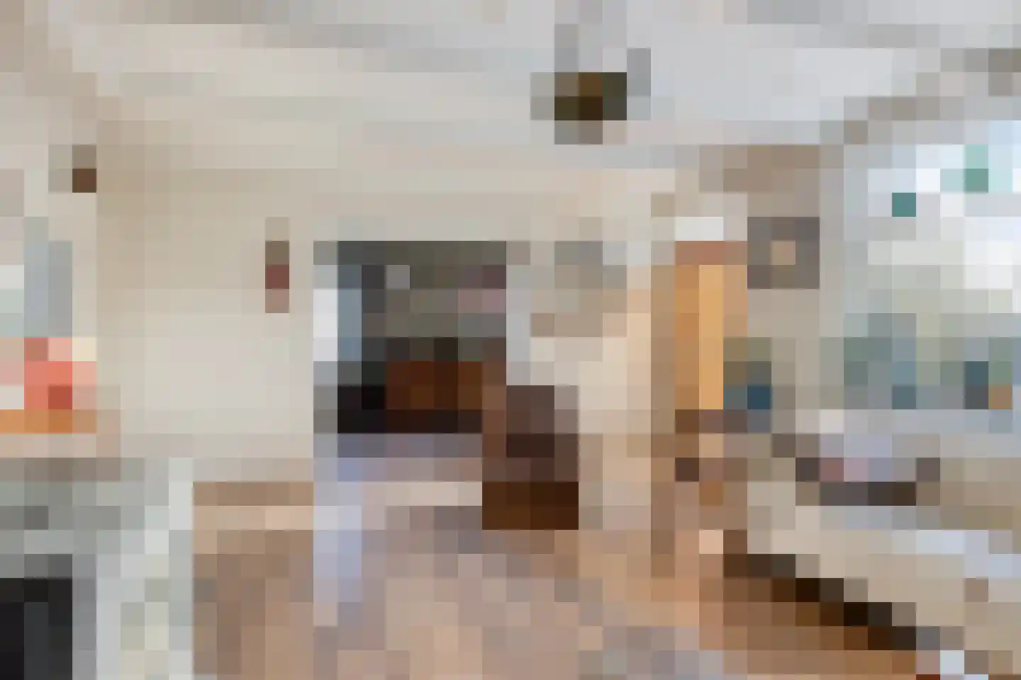 Lange Molenweg 3 Oterleek thumbnail 8