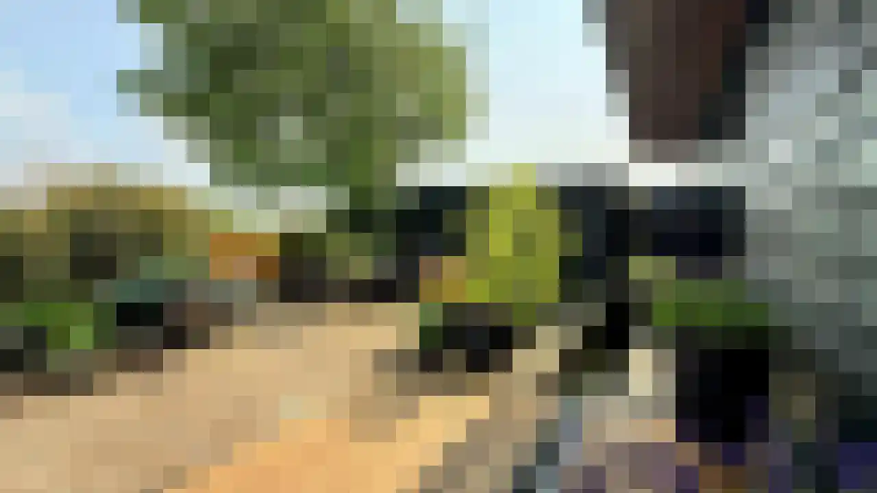 Lange Muiderweg 569 s Weesp thumbnail 5