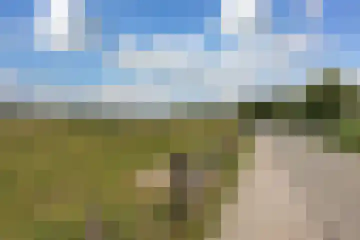 Lange Muiderweg 612 WNSP Muiden thumbnail 33