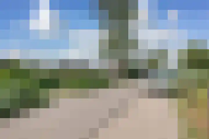 Lange Muiderweg 612 WNSP Muiden thumbnail 34
