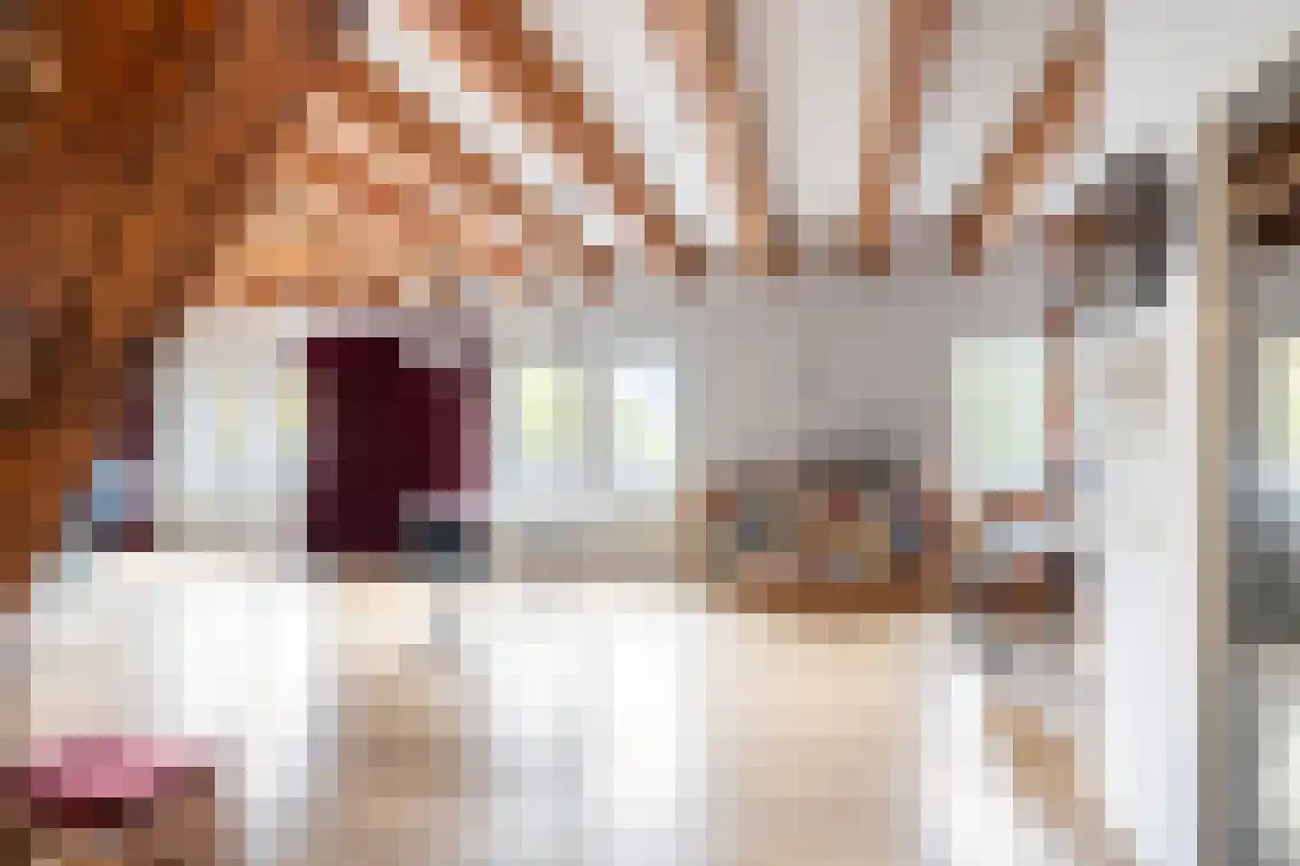 Lange Nieuwstraat 109 B 5 Schiedam thumbnail 14