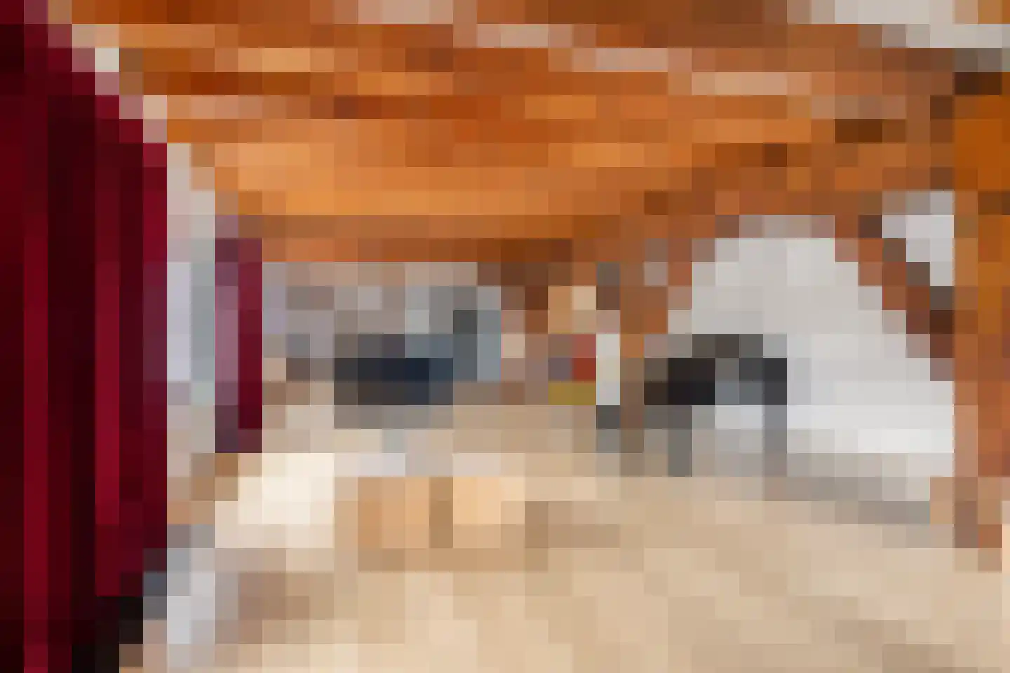 Lange Nieuwstraat 109 B 5 Schiedam thumbnail 20