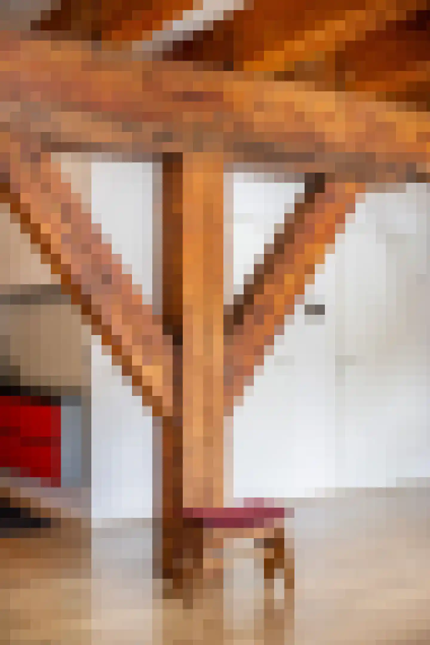 Lange Nieuwstraat 109 B 5 Schiedam thumbnail 28