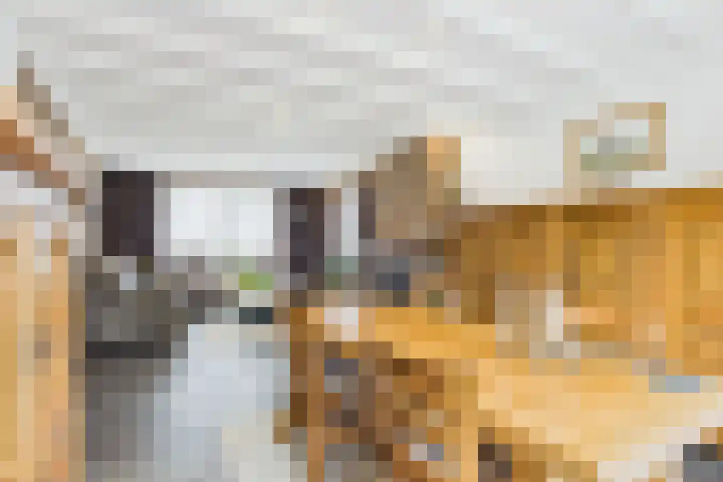 Lange Nieuwstraat 11 Kloosterzande thumbnail 10