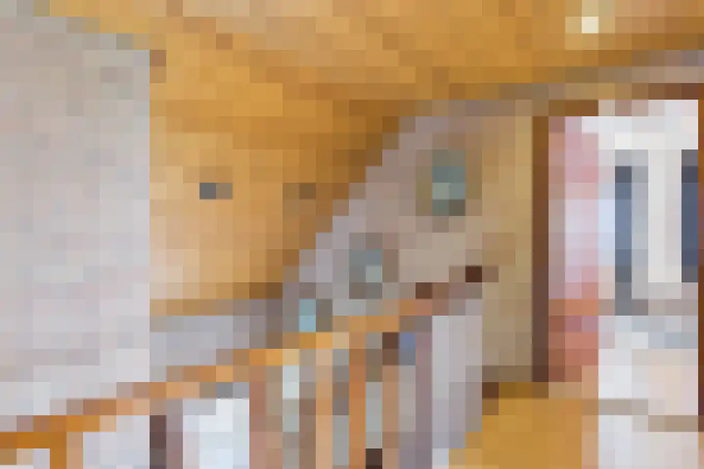 Lange Nieuwstraat 11 Kloosterzande thumbnail 15