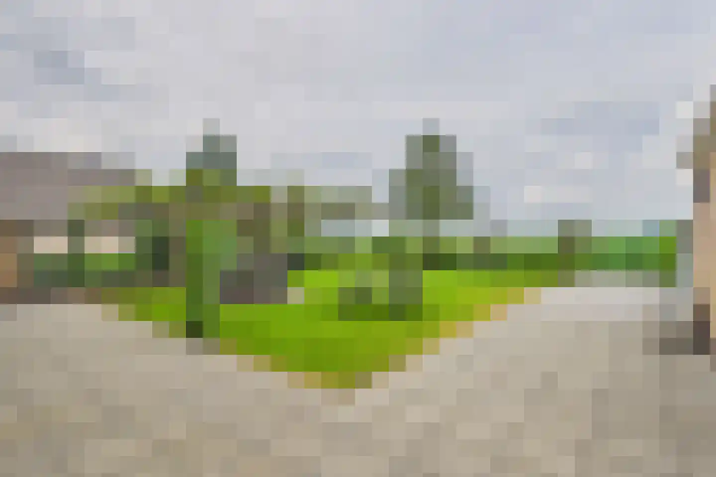 Lange Nieuwstraat 11 Kloosterzande thumbnail 28
