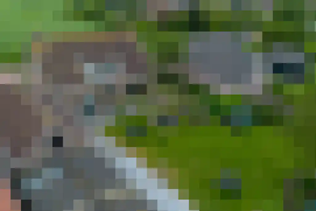 Lange Nieuwstraat 11 Kloosterzande thumbnail 4