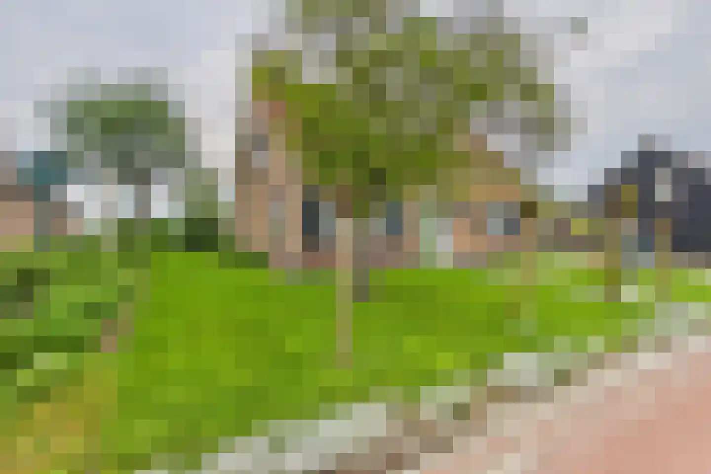 Lange Nieuwstraat 11 Kloosterzande thumbnail 5