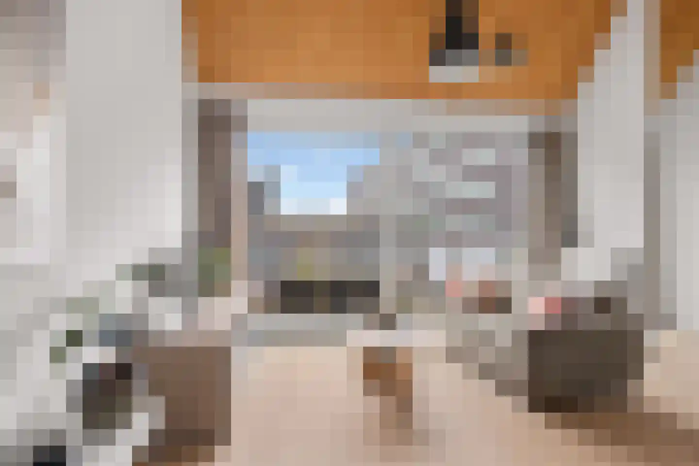 Lange Nieuwstraat 113 C Utrecht thumbnail 9