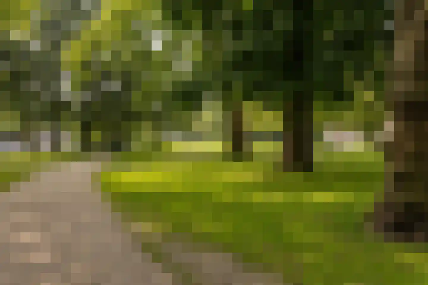 Lange Nieuwstraat 149 16 Schiedam thumbnail 29