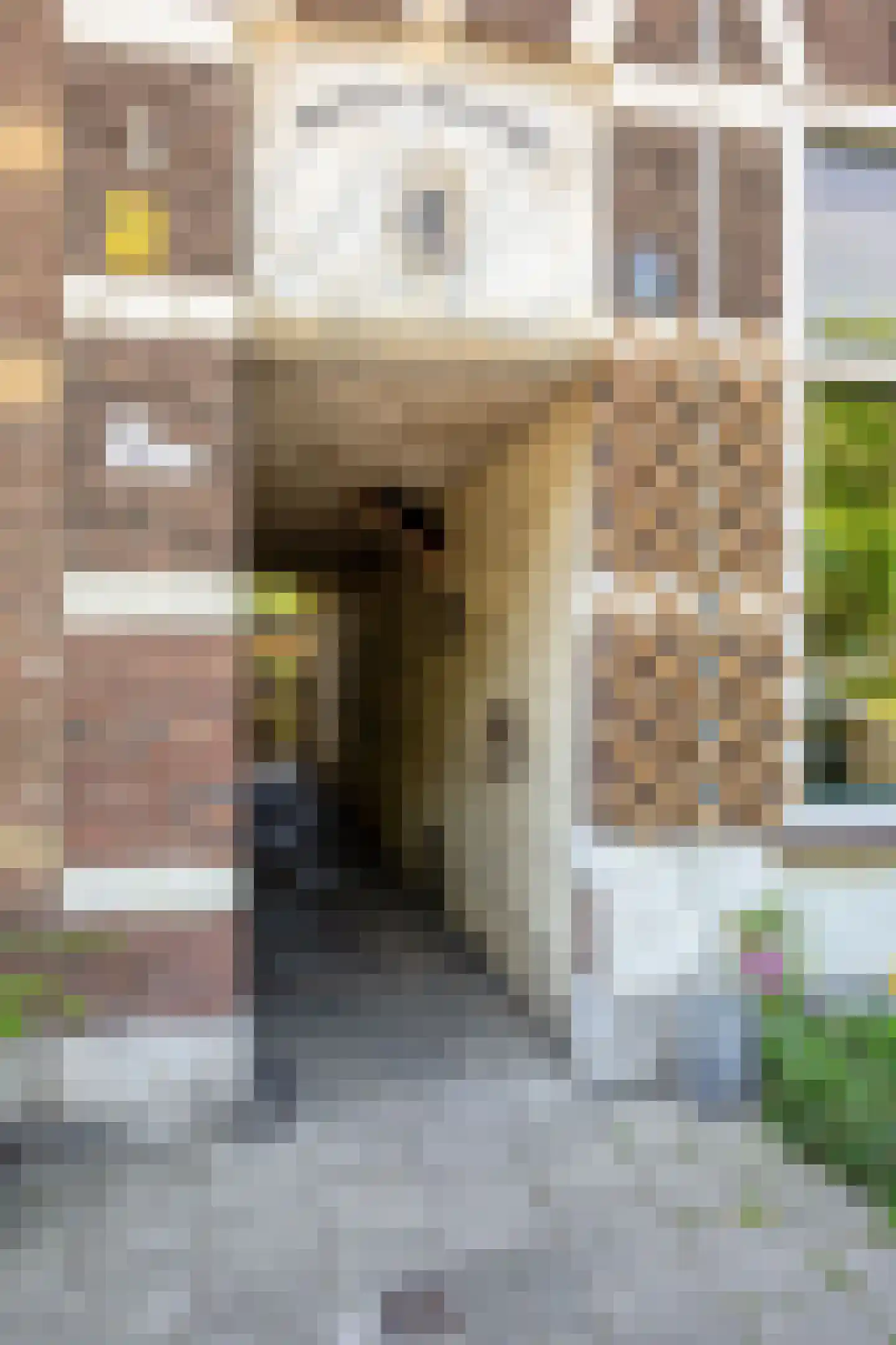 Lange Nieuwstraat 149 20 Schiedam thumbnail 19