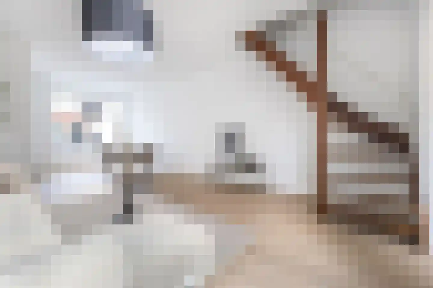 Lange Nieuwstraat 150 Tilburg thumbnail 13