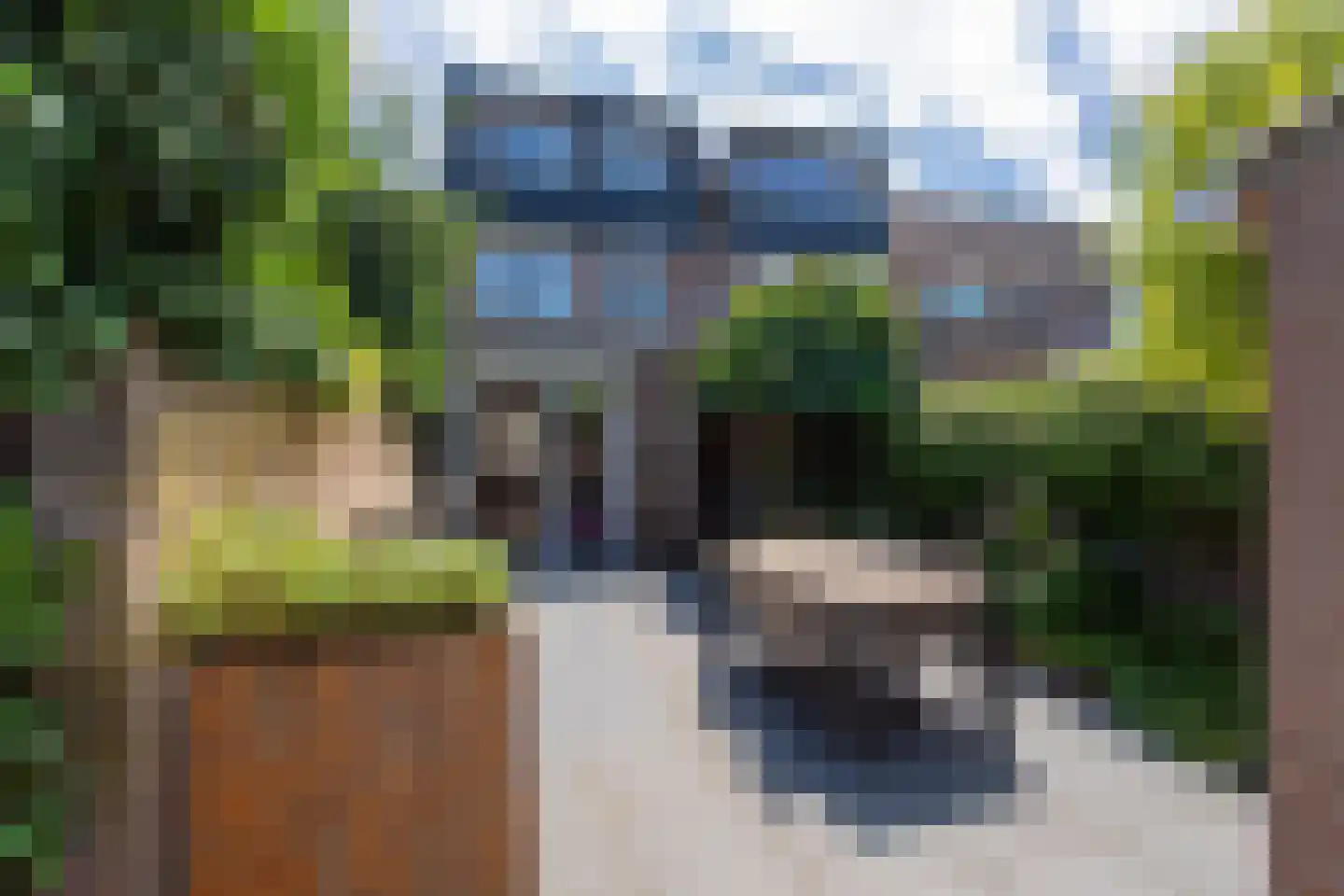 Lange Nieuwstraat 163 Tilburg thumbnail 29