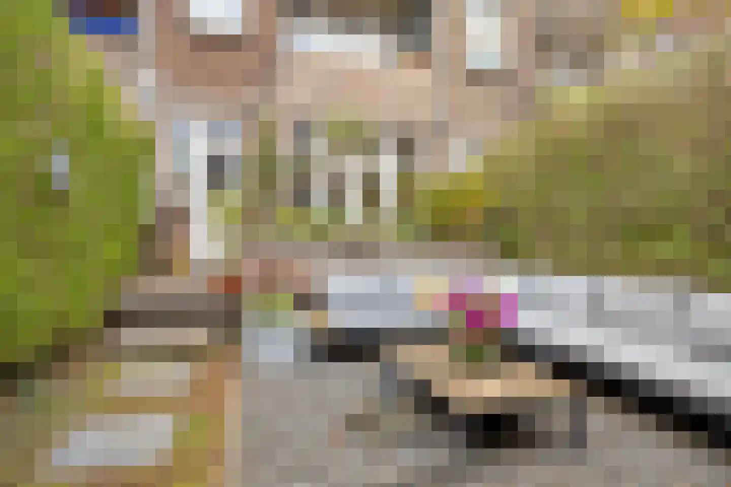 Lange Nieuwstraat 19 B 2 Schiedam thumbnail 19